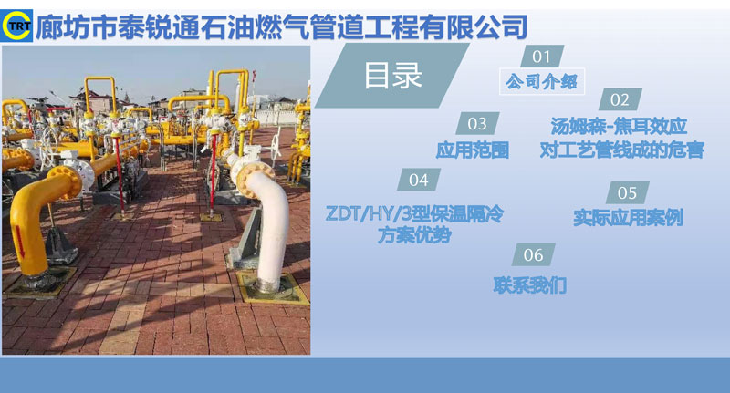 91抖音视频免费-去湯姆森焦耳(新)250327_頁麵_02.jpg